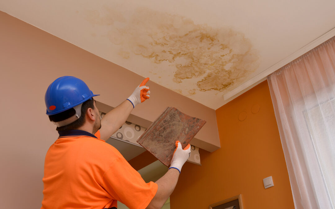 The Role Of Proper Ventilation In Preventing Roof Leaks And Mold Growth